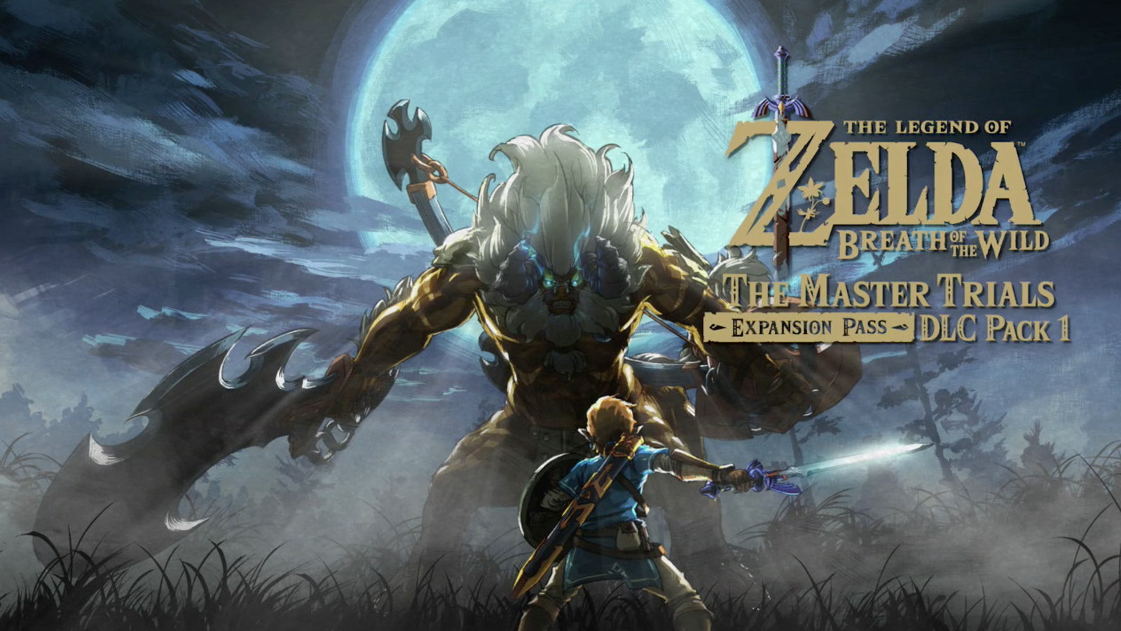 Zelda breath of the wild more armor slots download